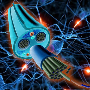 Baja Hand - Peripheral nerve treatment